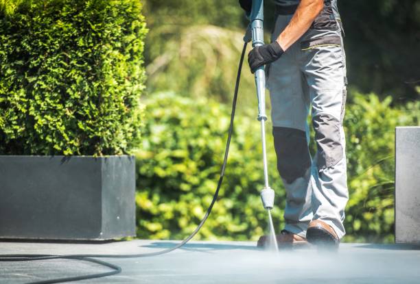 Best Graffiti Removal  in Three Rivers, CA